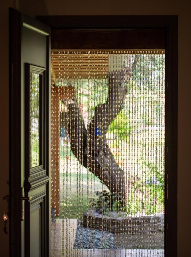 Villa Menie - Golden Fig Sykia Lodge Paralia Sikias ภายนอก รูปภาพ