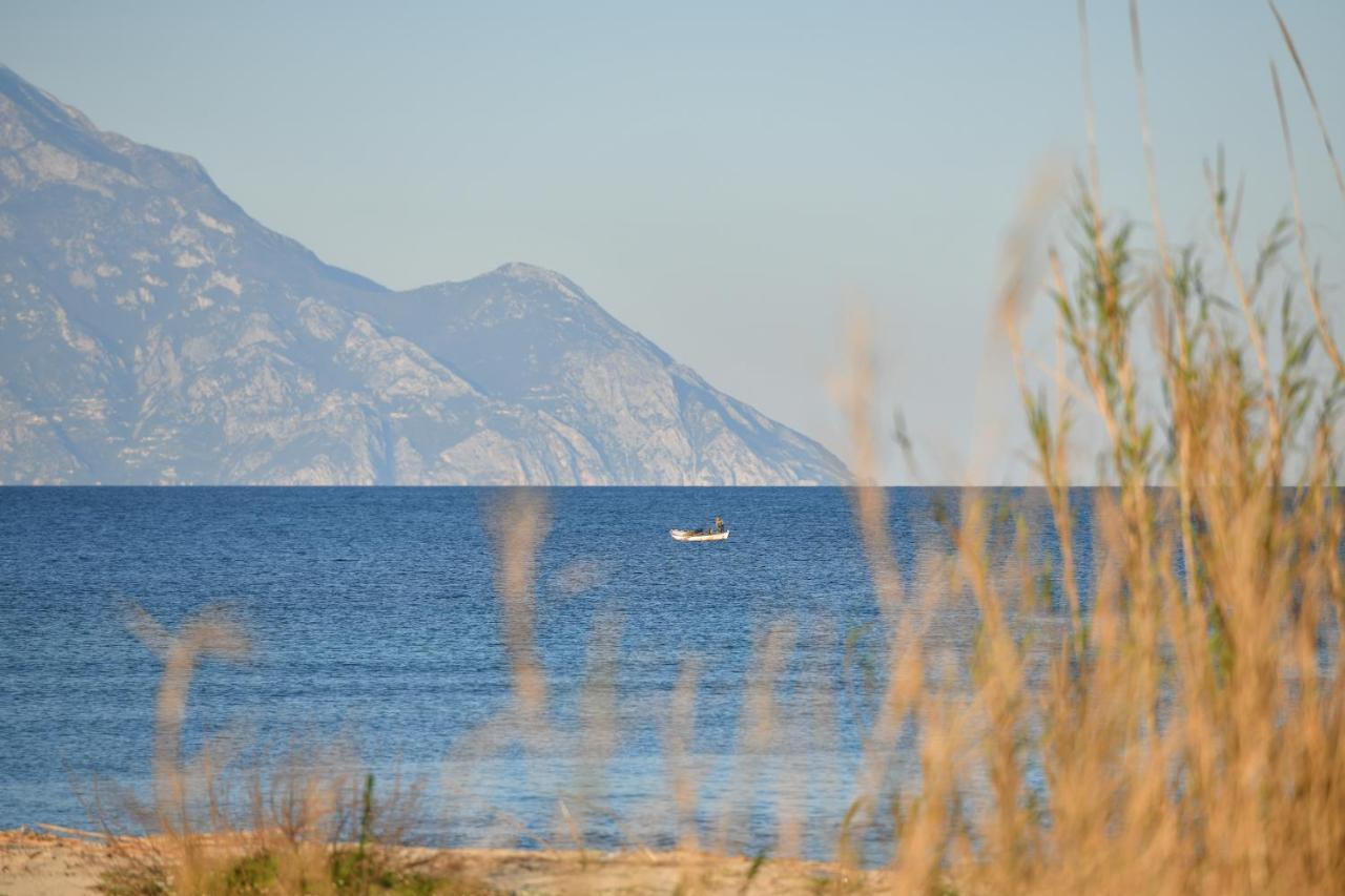 Villa Menie - Golden Fig Sykia Lodge Paralia Sikias ภายนอก รูปภาพ