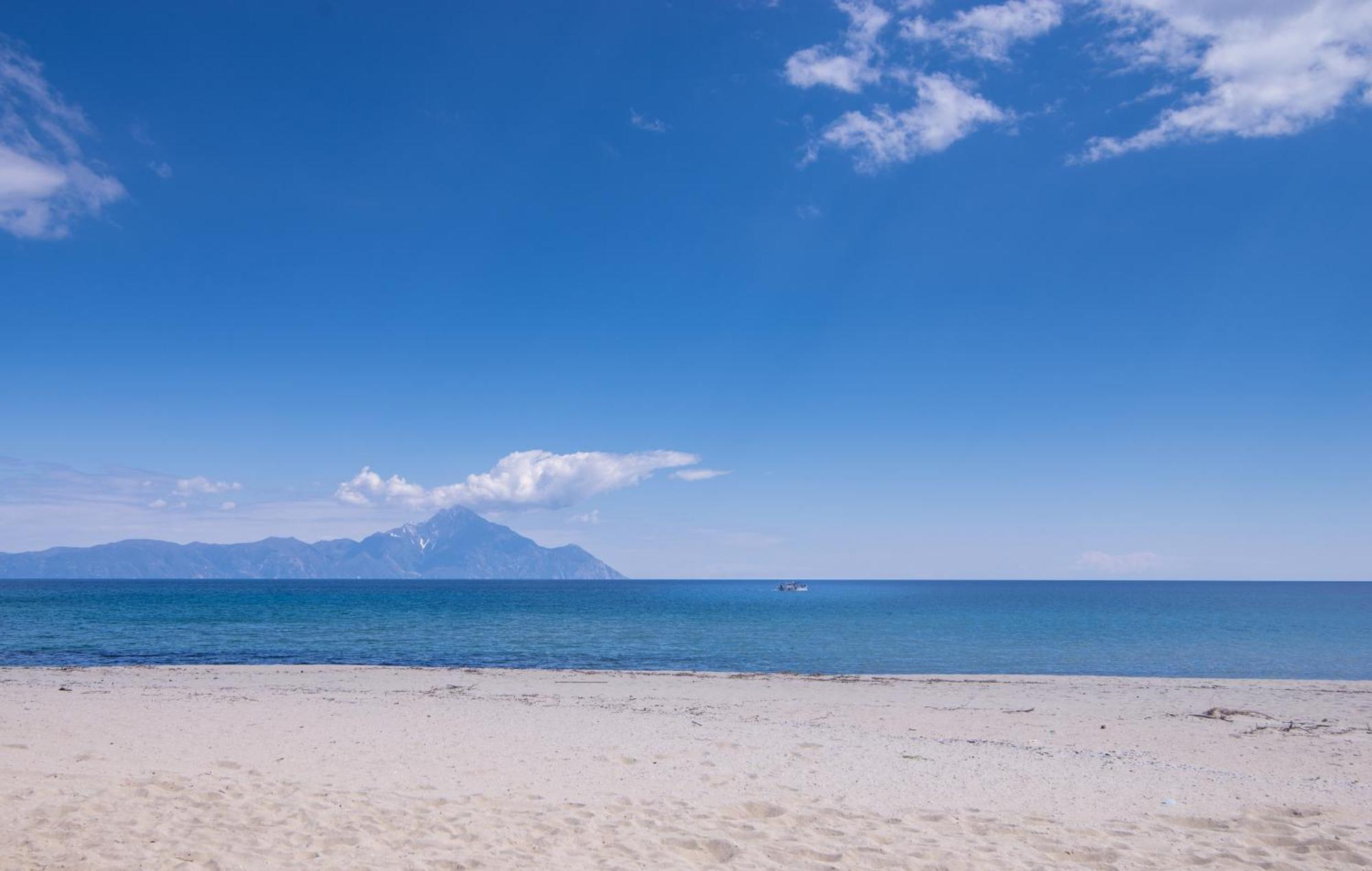 Villa Menie - Golden Fig Sykia Lodge Paralia Sikias ภายนอก รูปภาพ