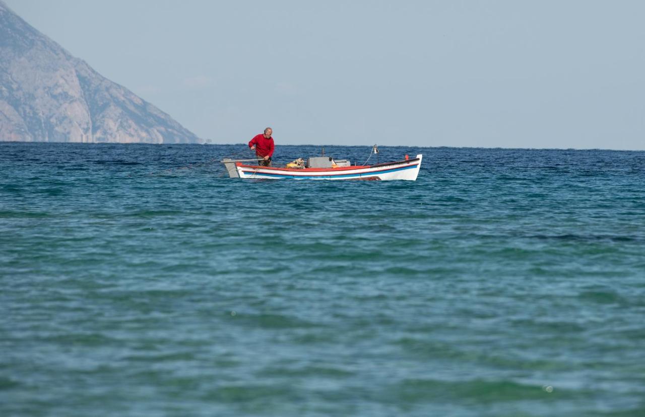 Villa Menie - Golden Fig Sykia Lodge Paralia Sikias ภายนอก รูปภาพ
